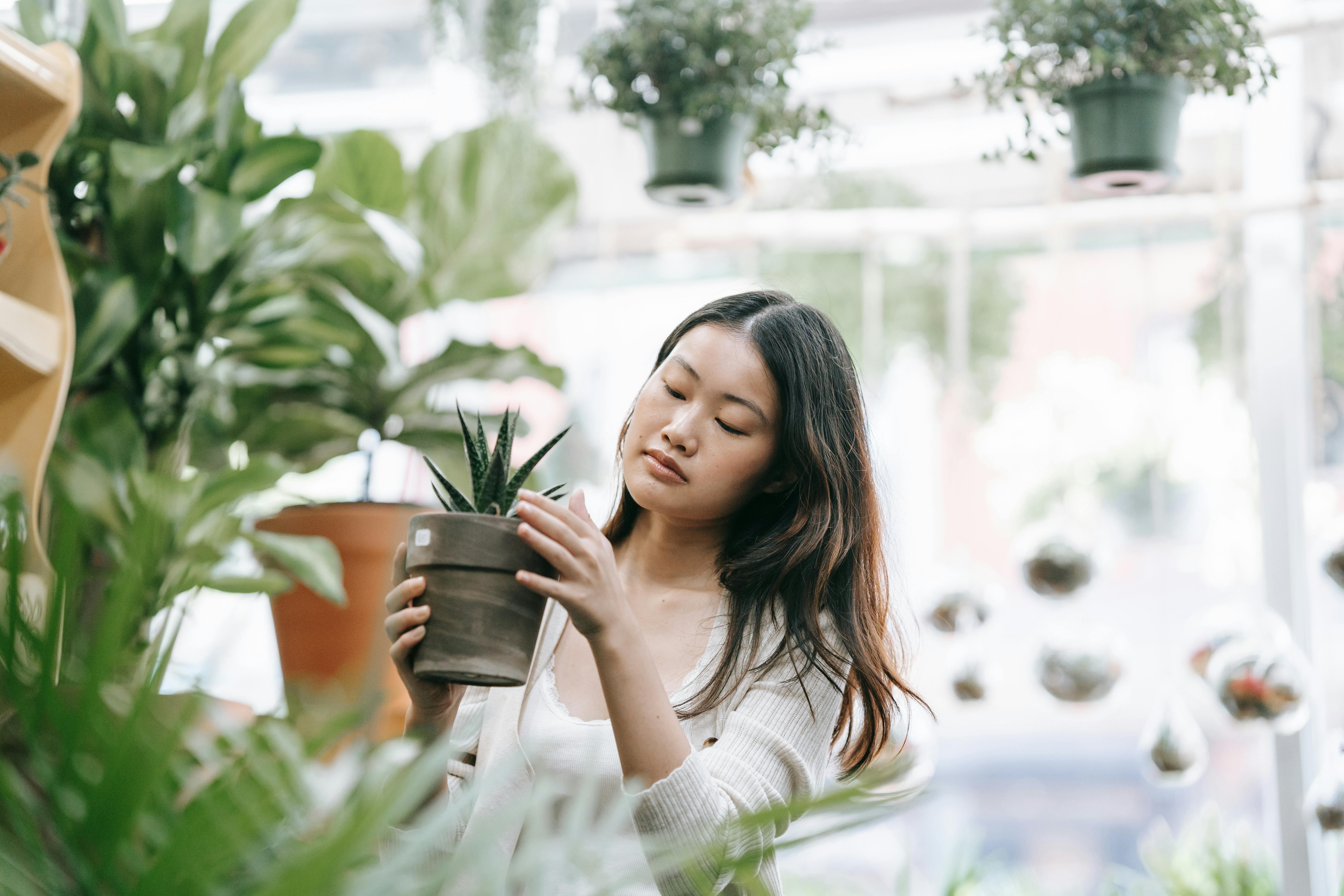The Ultimate Guide to Indoor Plant Care: Tips for Thriving Houseplants